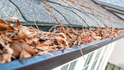 What Kind of Damage Can Clogged Gutters Do?